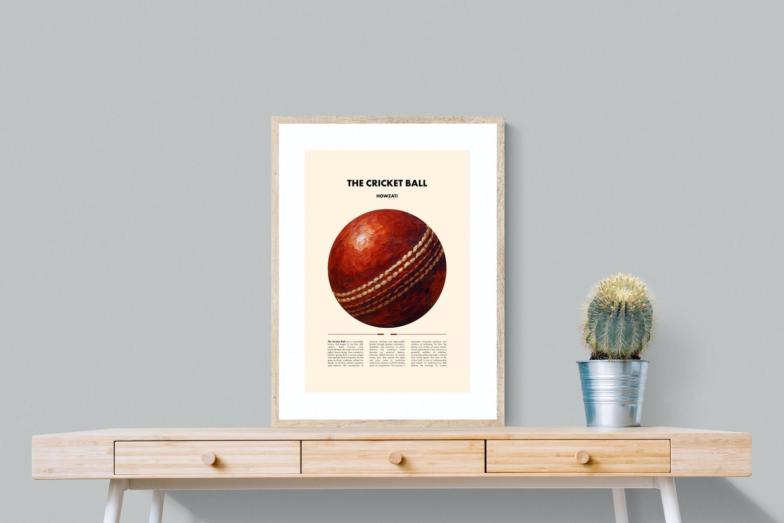Pixalot ® Cricket Ball