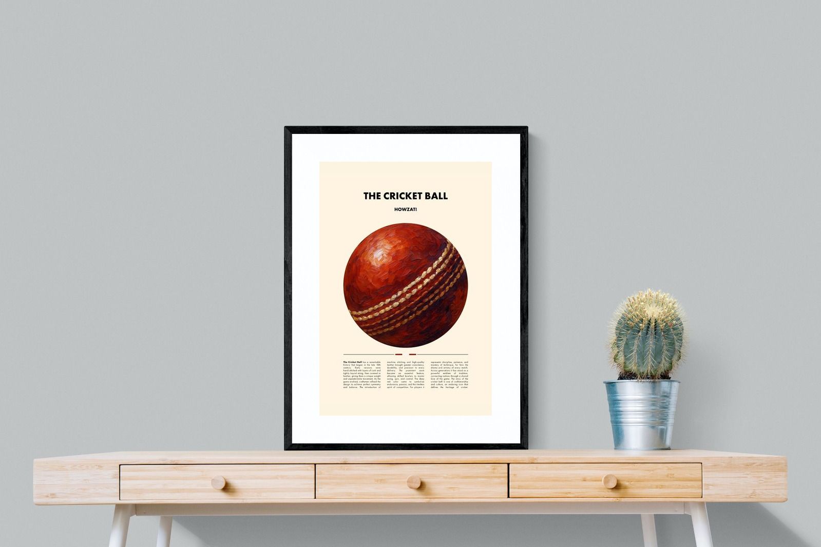 Pixalot ® Cricket Ball