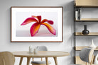 Pixalot ® Crimson Flora