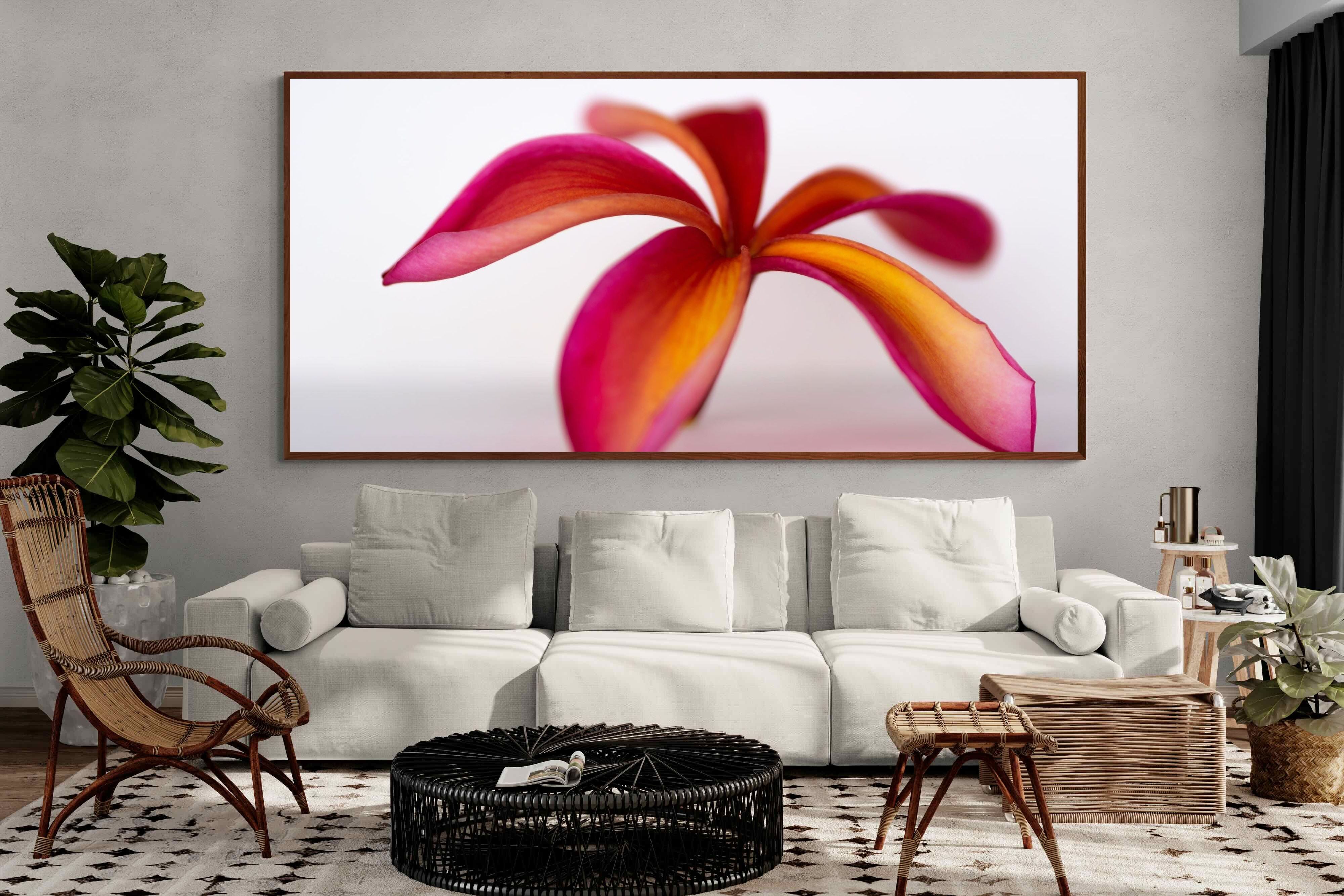 Pixalot ® Crimson Flora