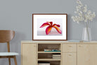 Pixalot ® Crimson Flora