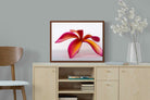 Pixalot ® Crimson Flora