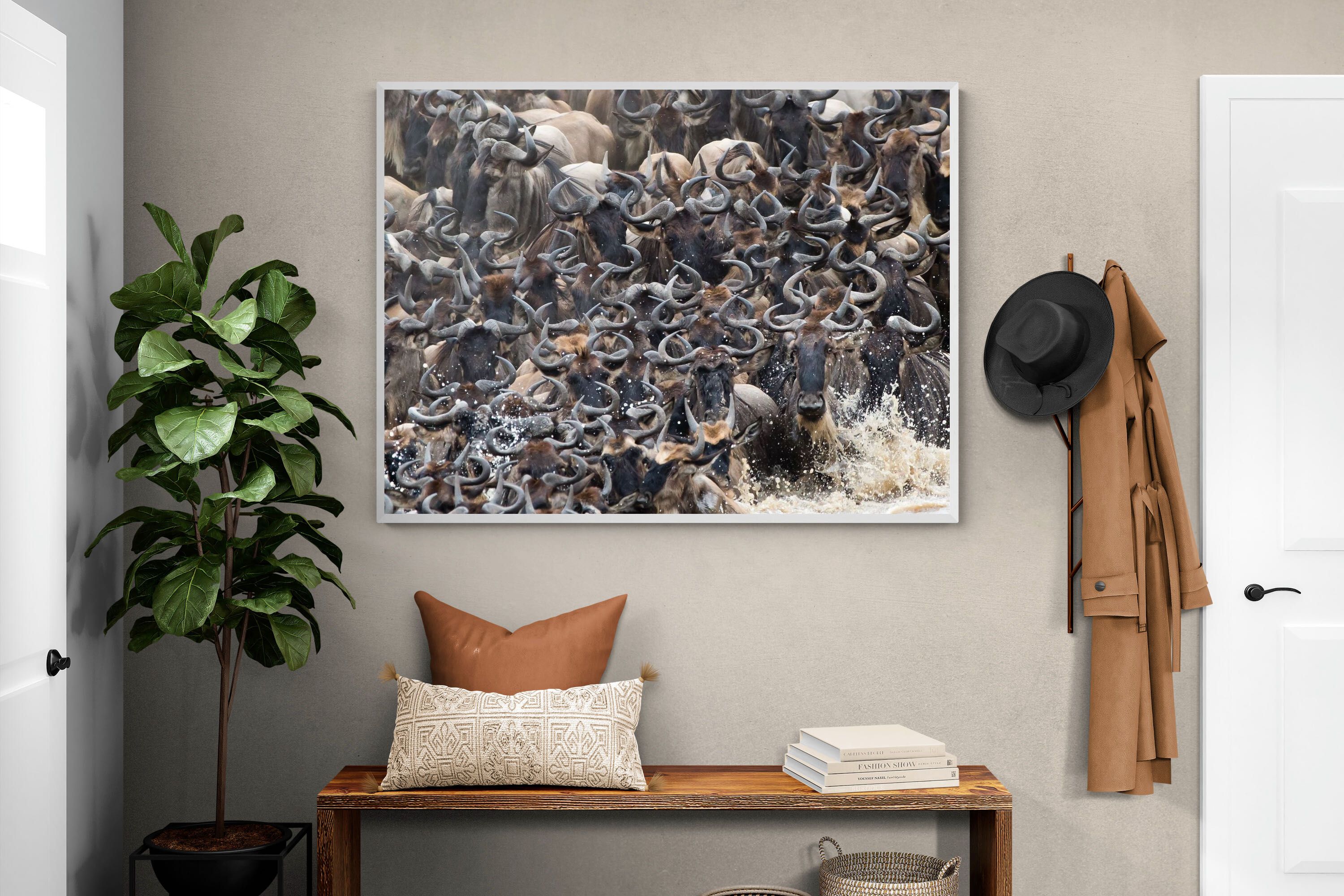 Pixalot Crossing Chaos