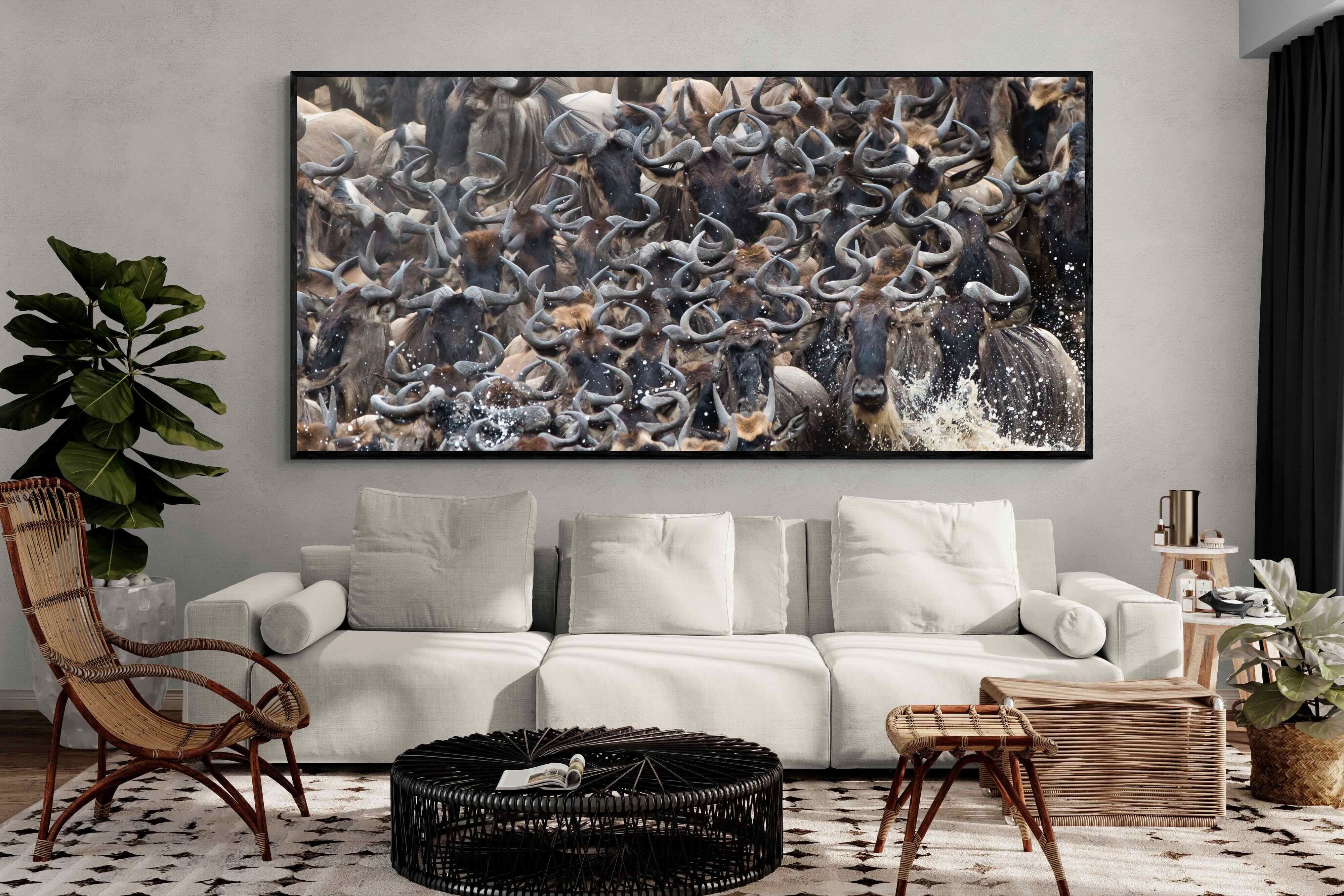 Pixalot Crossing Chaos