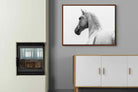 Pixalot ® Curious Horse