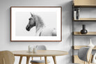 Pixalot ® Curious Horse