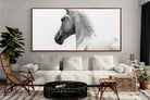 Pixalot ® Curious Horse