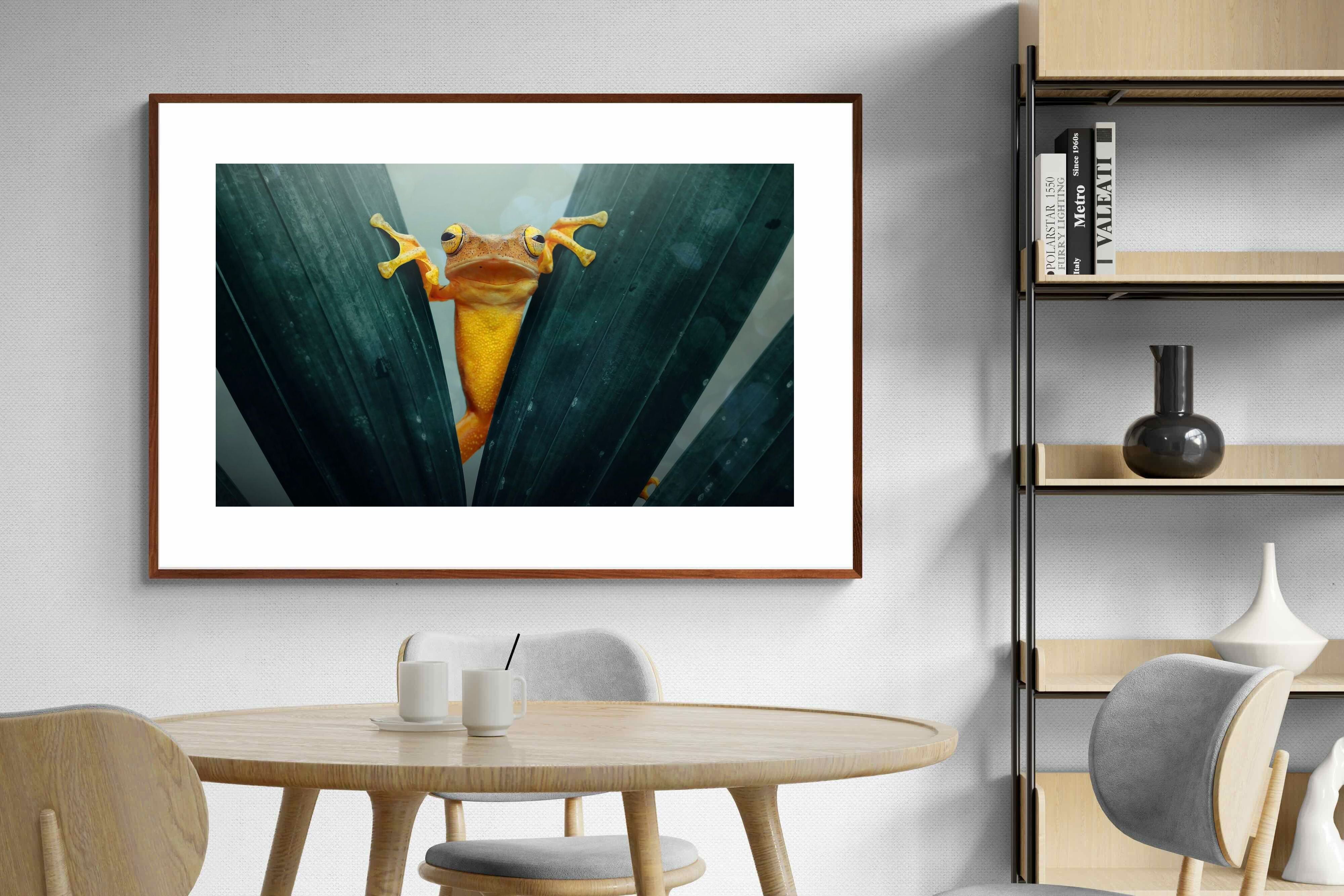 Pixalot Curious Jungle Frog