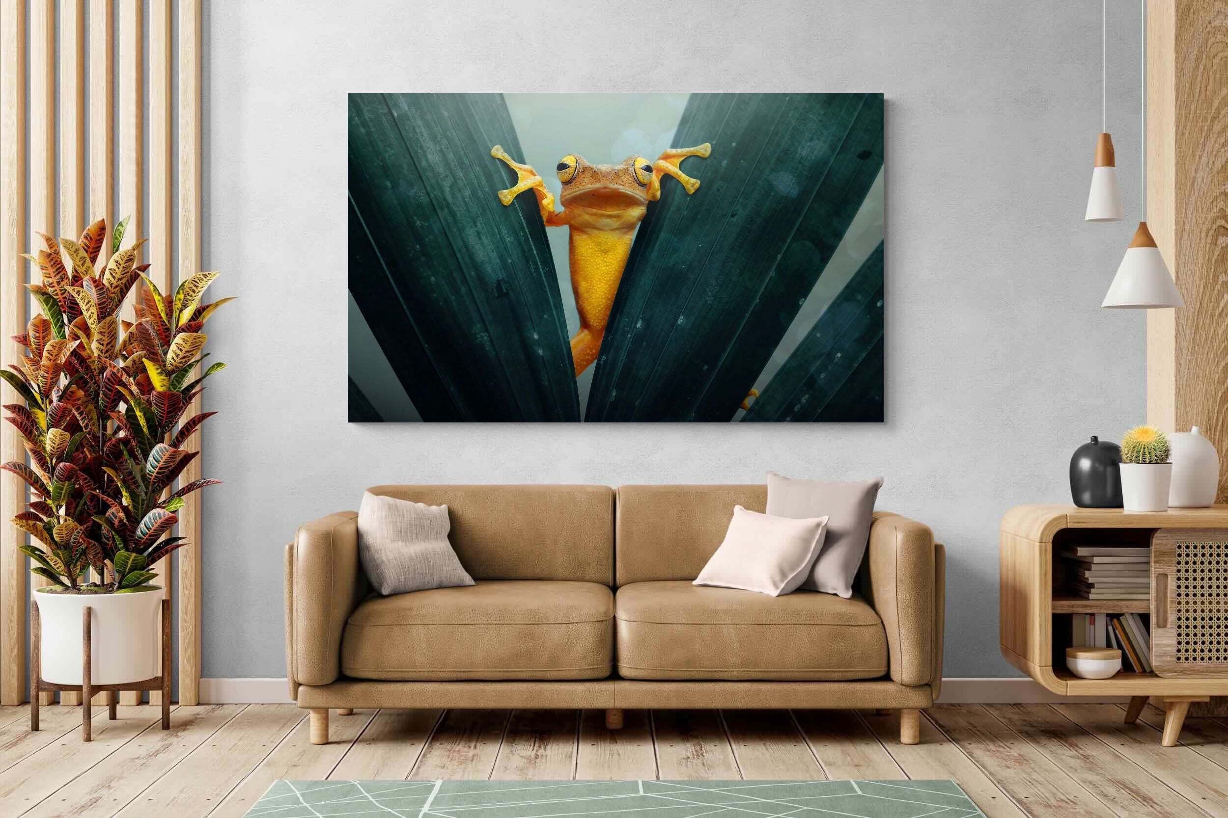 Pixalot Curious Jungle Frog