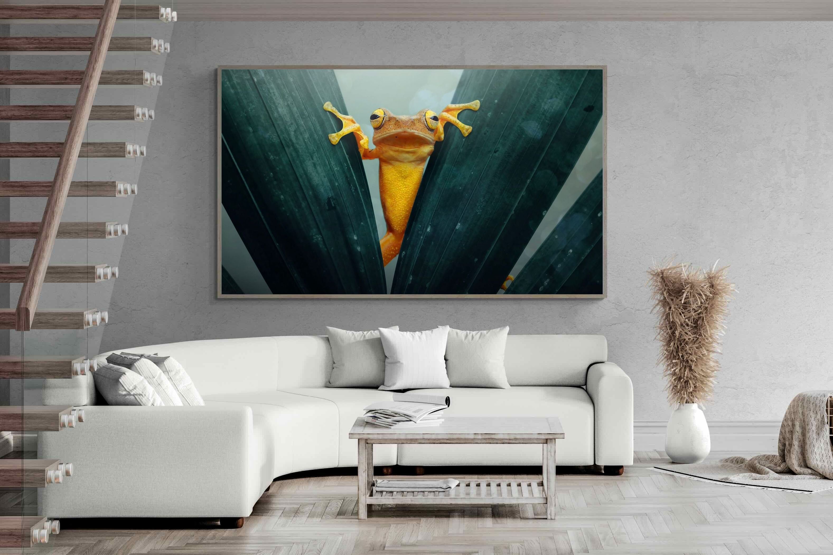 Pixalot Curious Jungle Frog