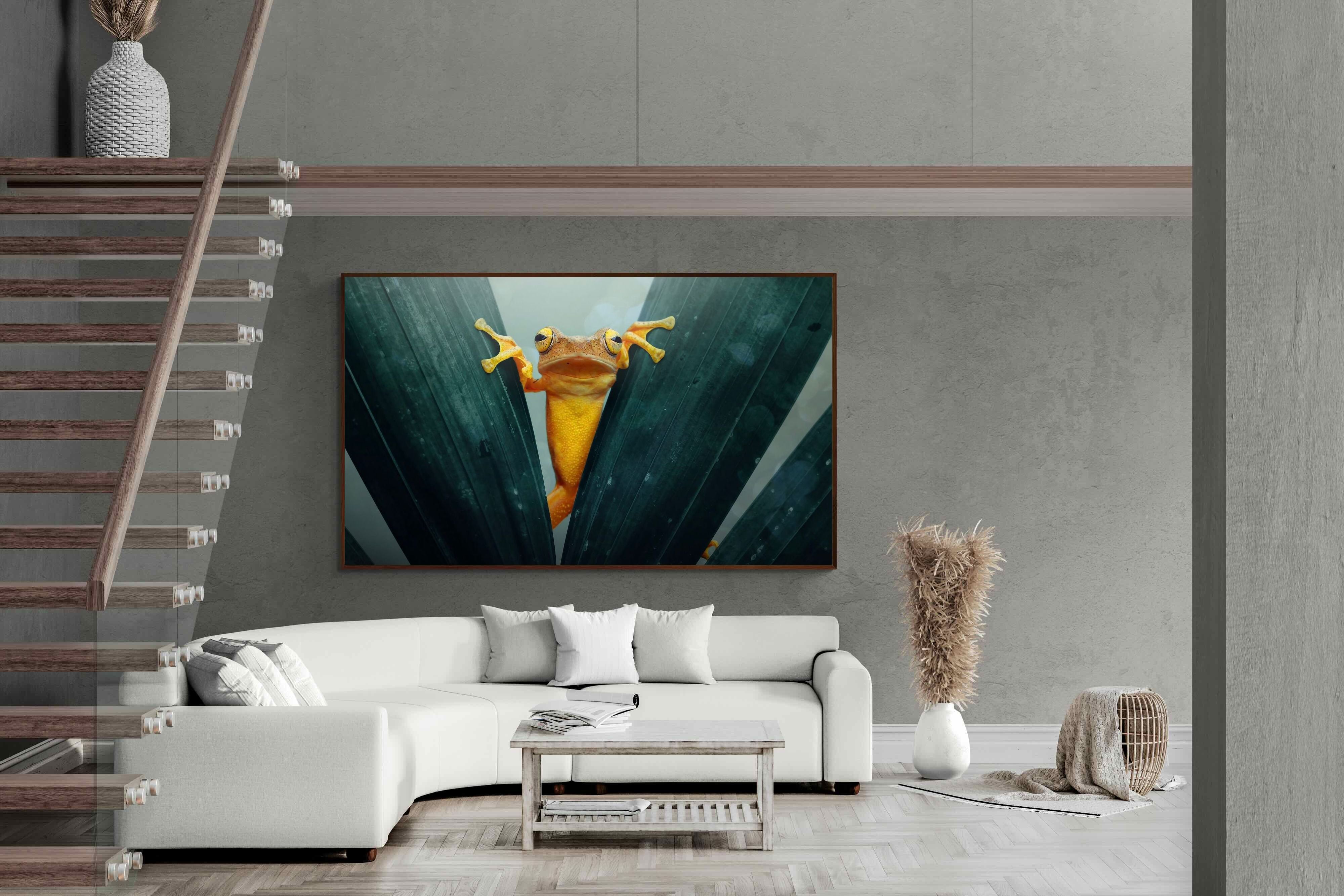 Pixalot Curious Jungle Frog