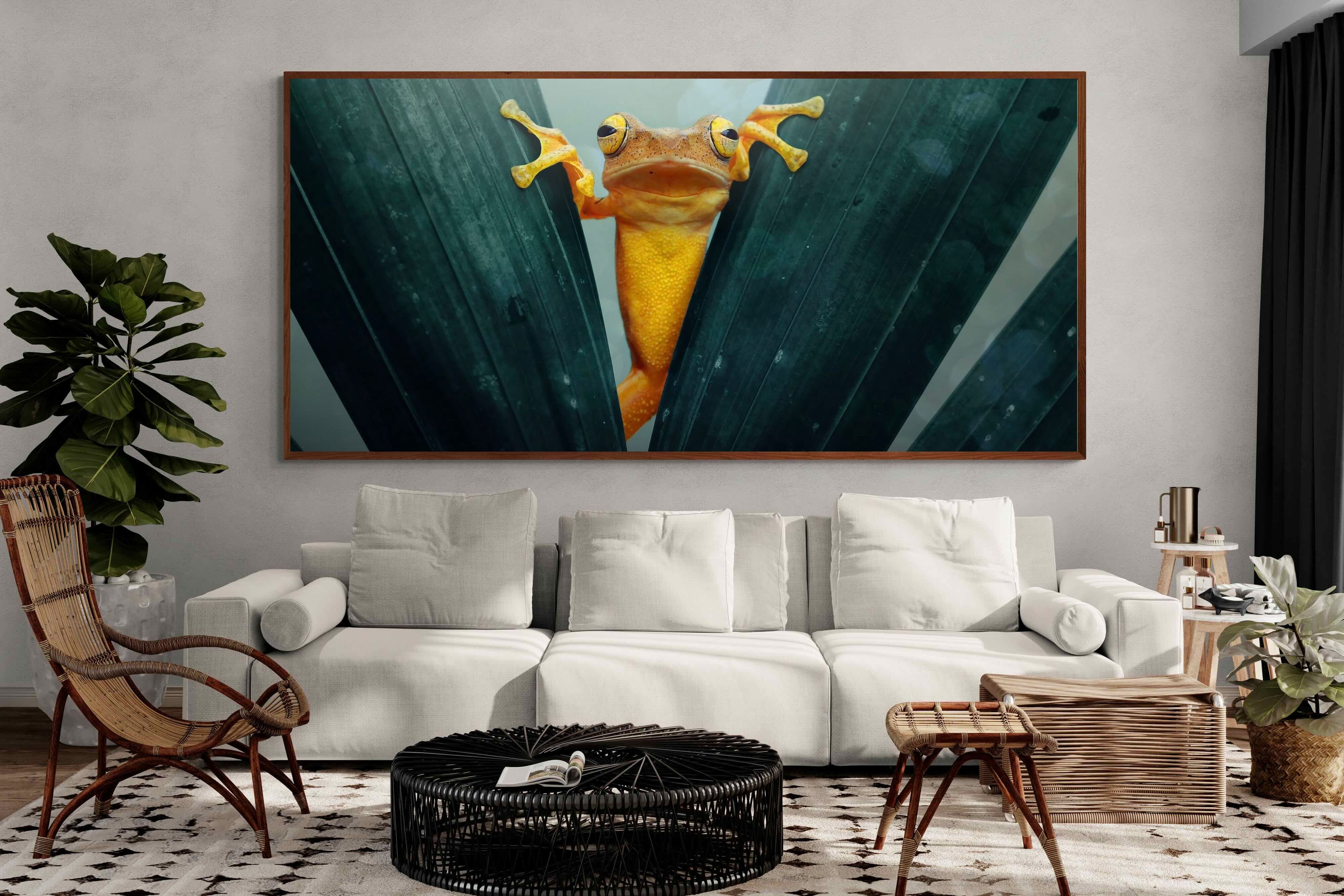 Pixalot Curious Jungle Frog