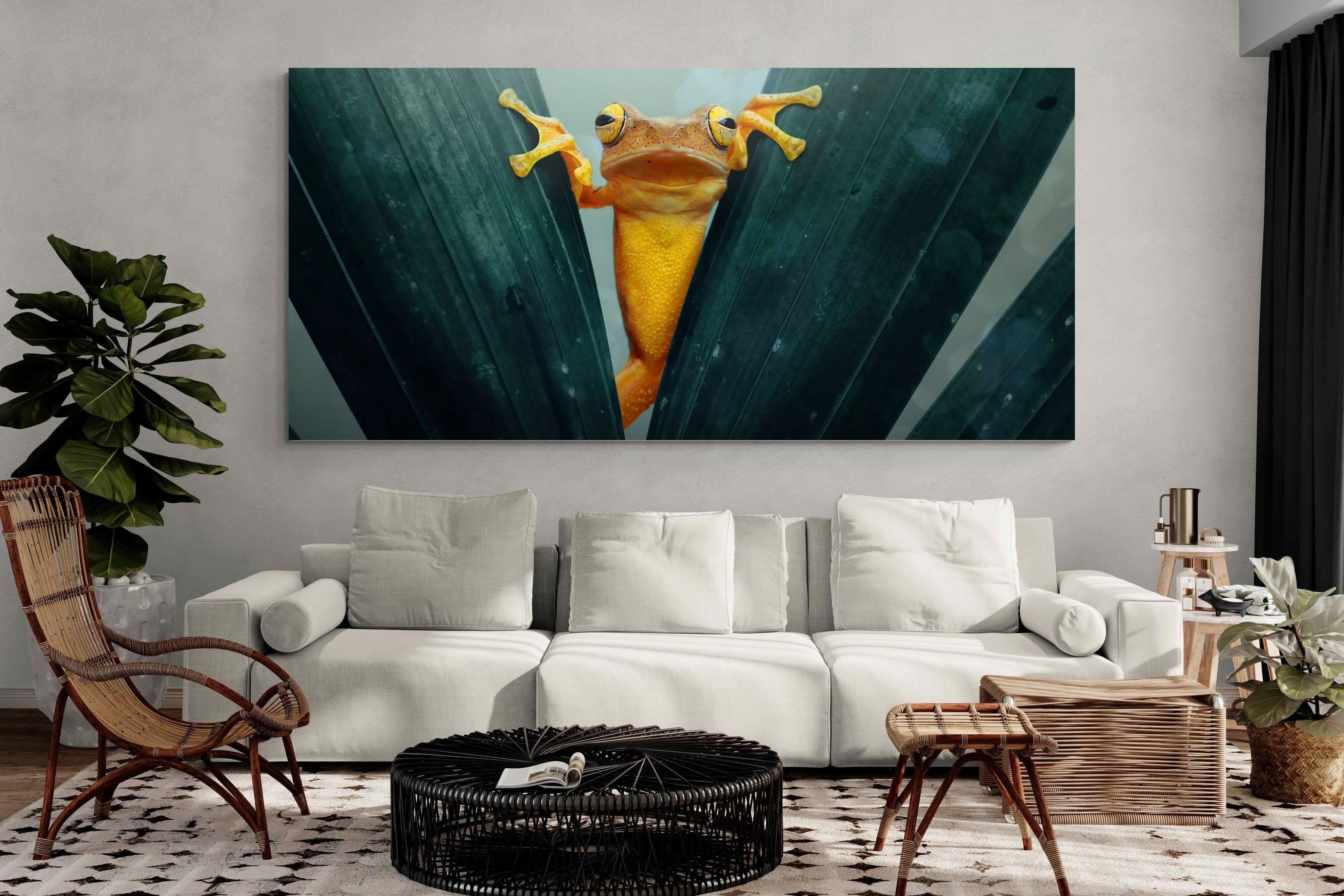 Pixalot Curious Jungle Frog