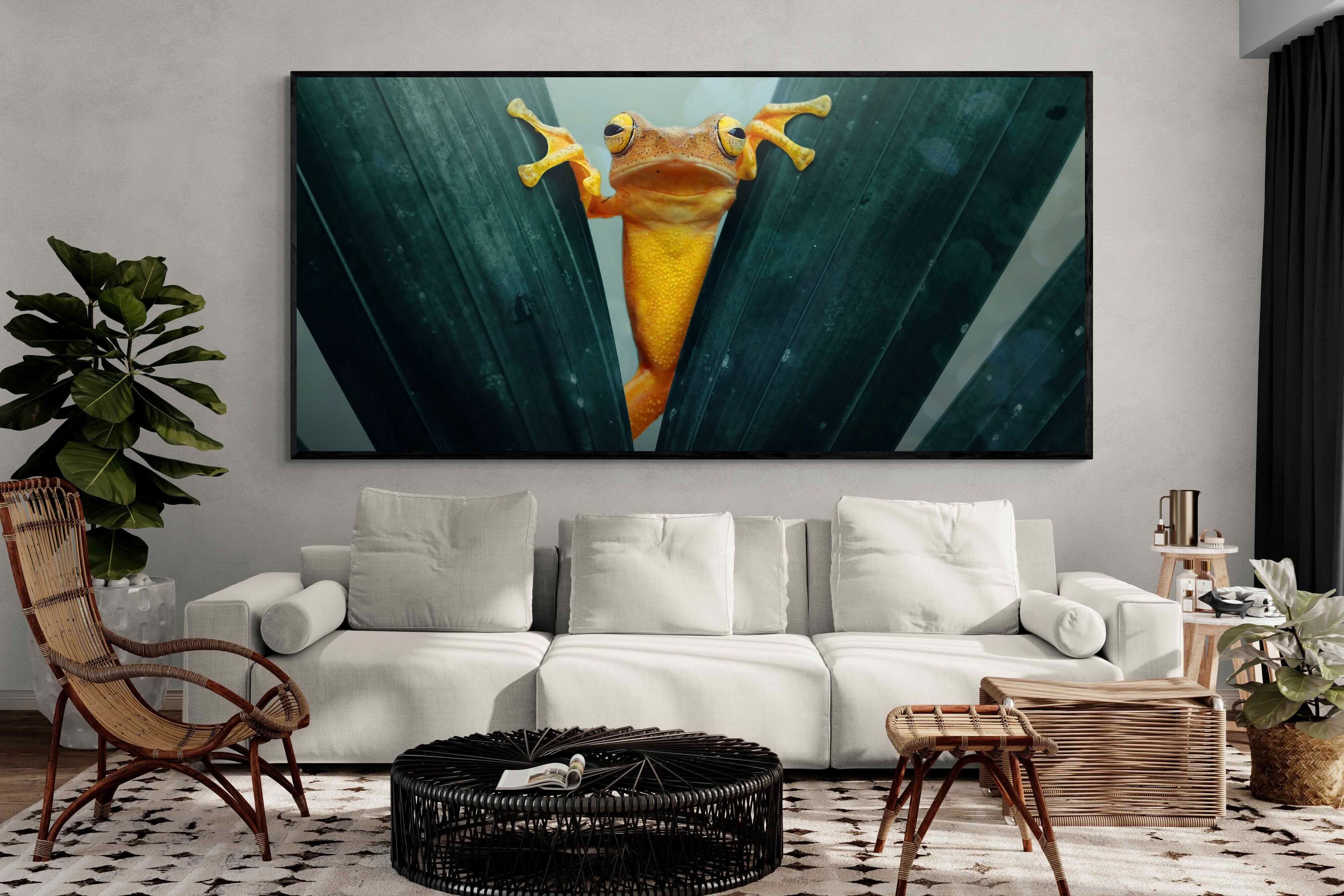 Pixalot Curious Jungle Frog