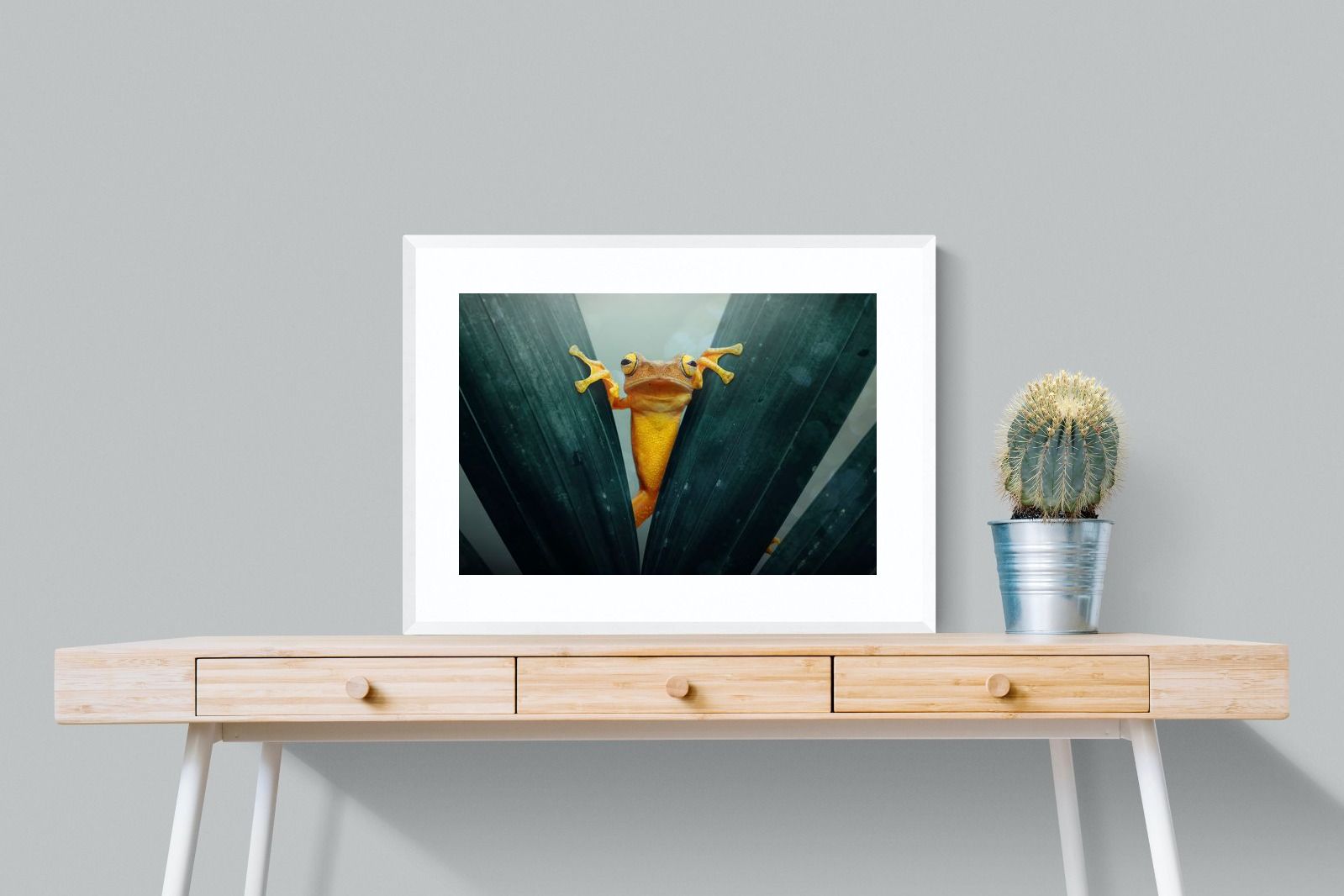 Pixalot Curious Jungle Frog