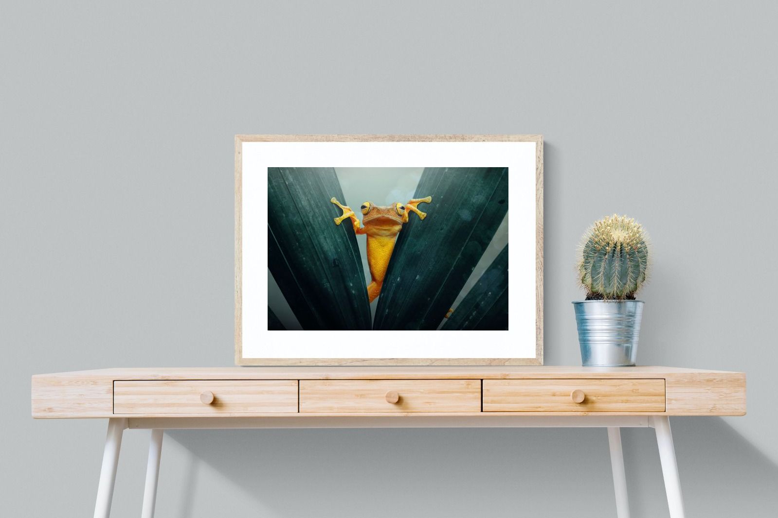 Pixalot Curious Jungle Frog