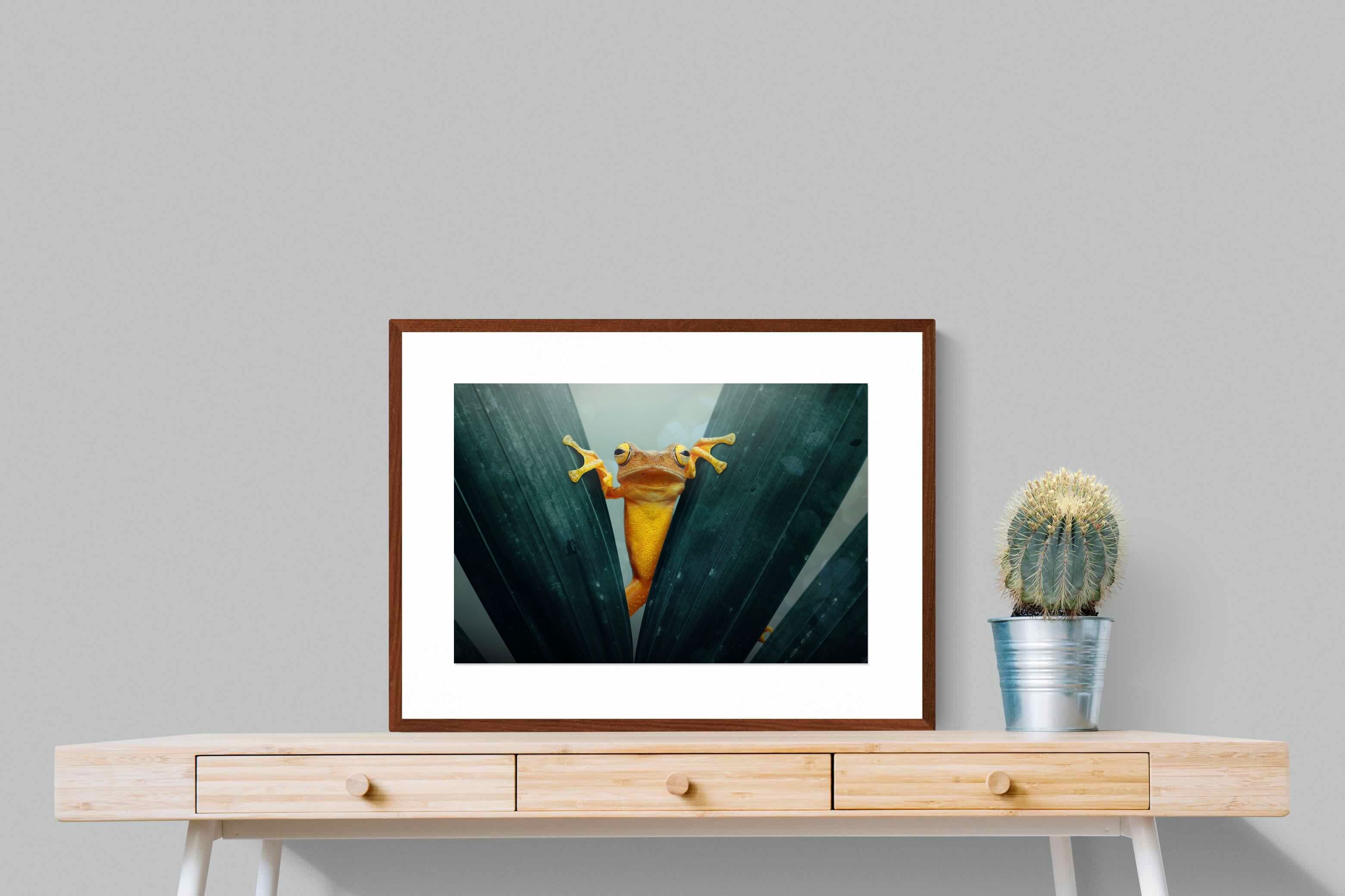 Pixalot Curious Jungle Frog