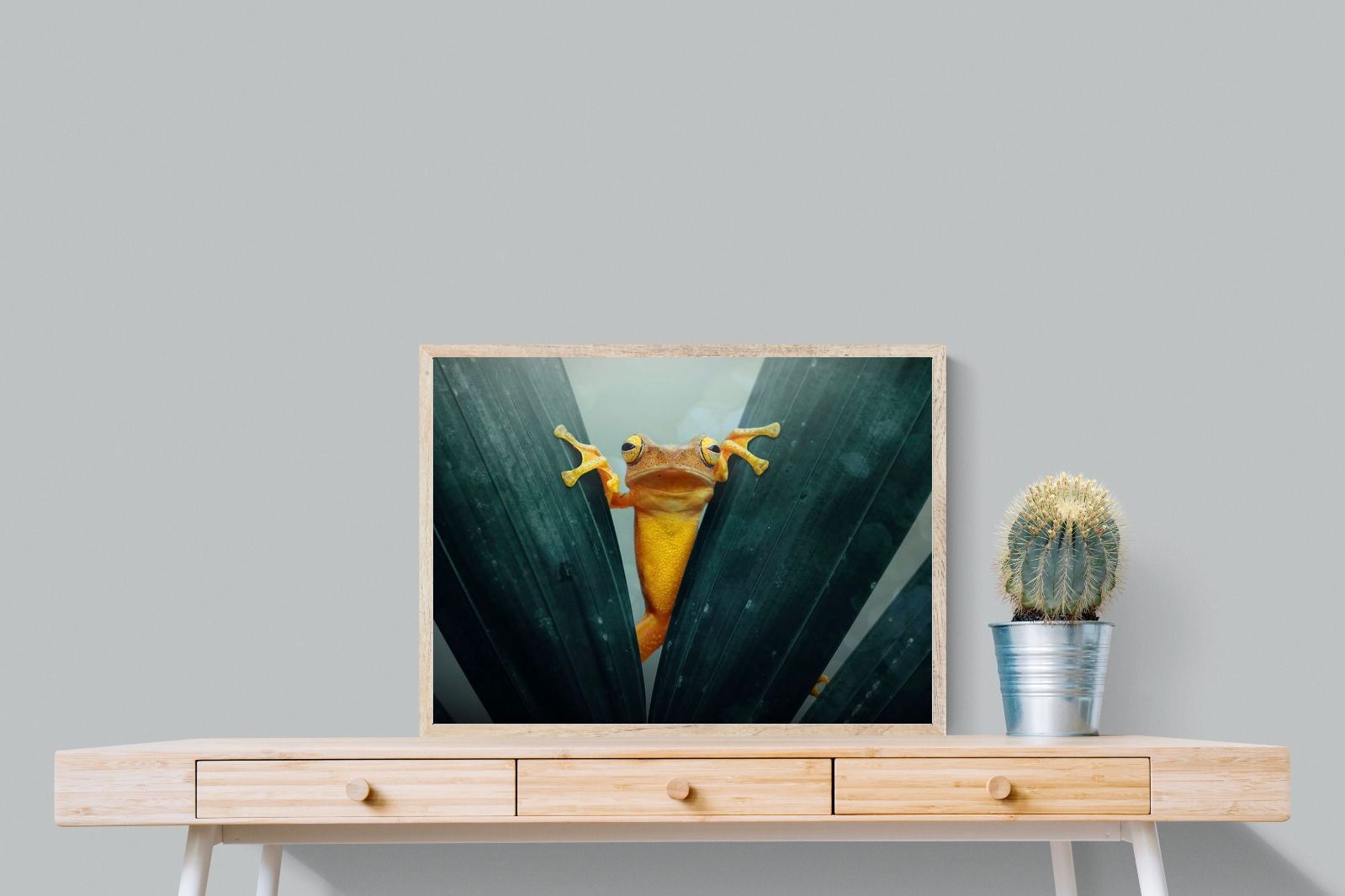 Pixalot Curious Jungle Frog