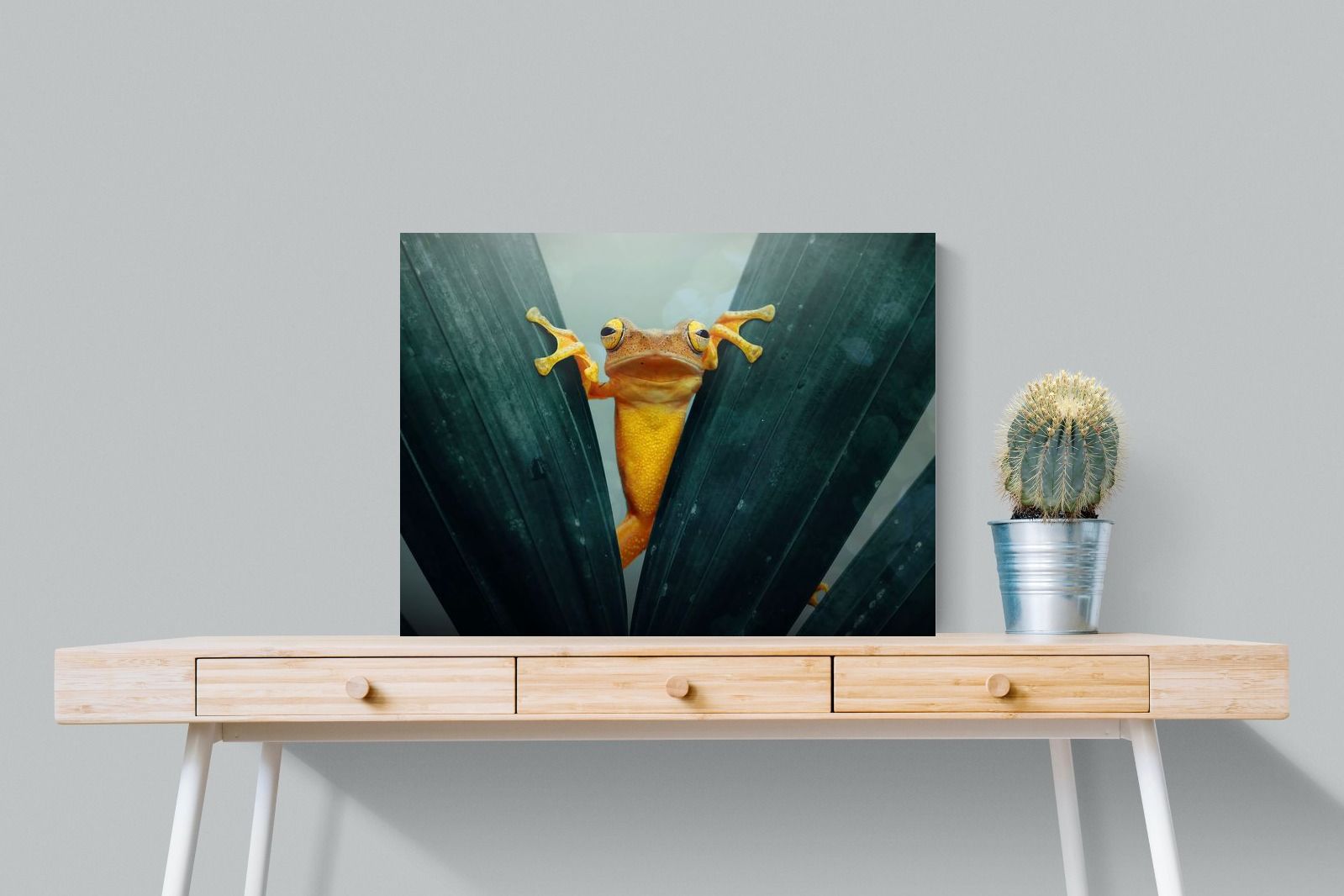 Pixalot Curious Jungle Frog