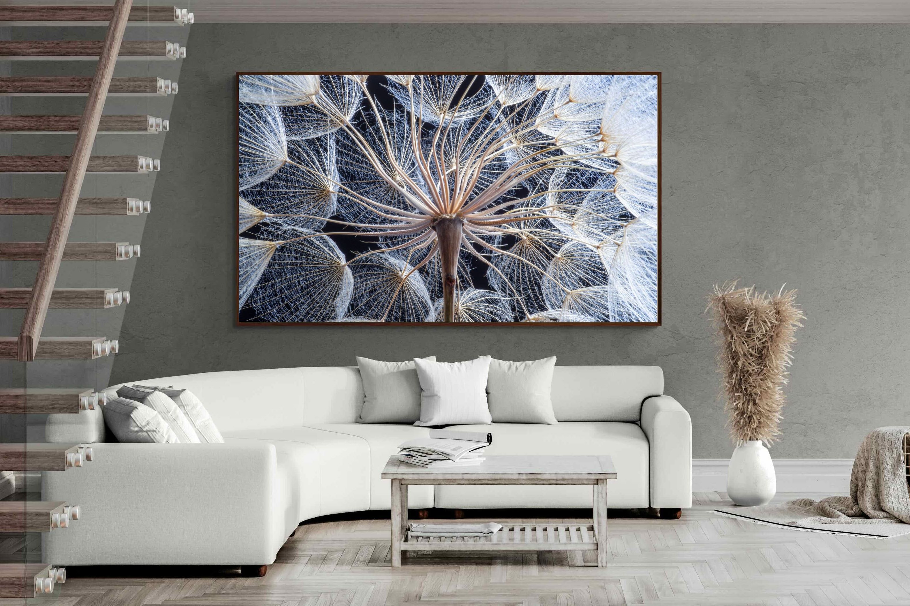 Pixalot ® Dandelion Close Up