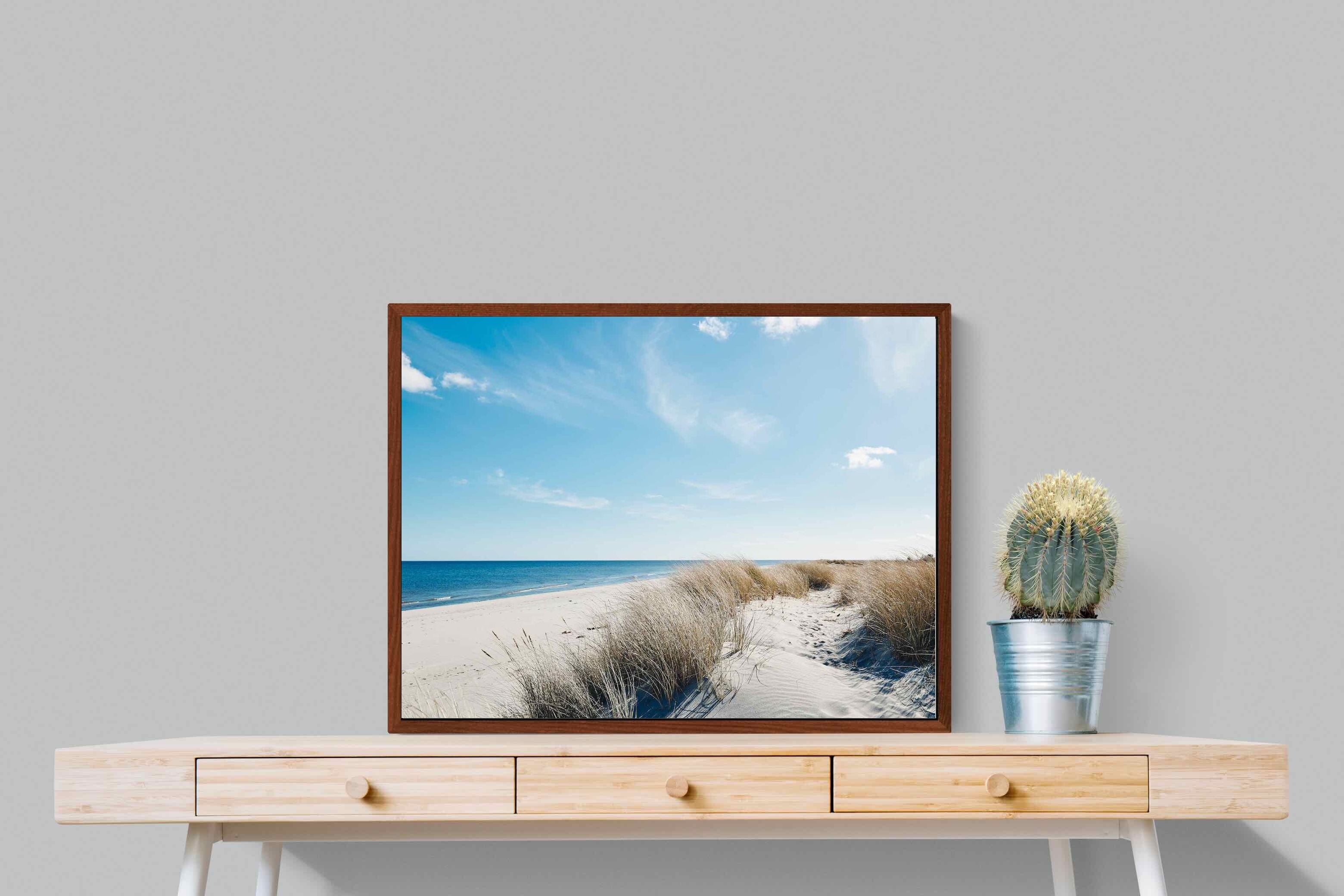 Pixalot ® Danish Coastline