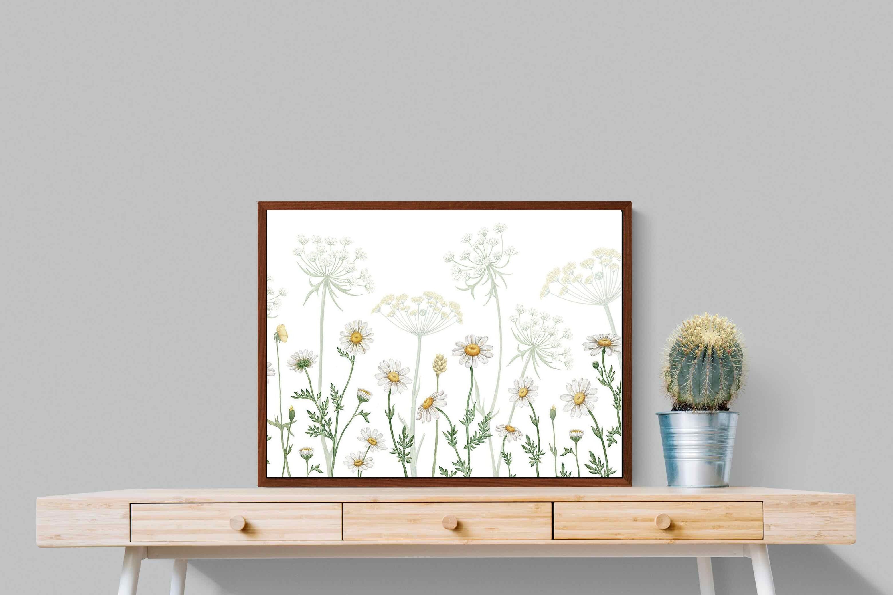 Pixalot ® Dazzling Daisies (White)