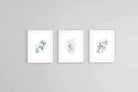 Delicate Blue Set-Wall_Art-60 x 80cm (x3)-Framed Print-Wood-Pixalot