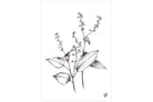 Delicate Flowers-Wall_Art-Pixalot