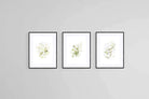 Delicate Green Set-Wall_Art-60 x 80cm (x3)-Framed Print-Black-Pixalot