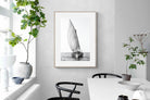 Pixalot ® Dhow Sail