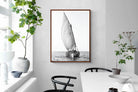 Pixalot ® Dhow Sail