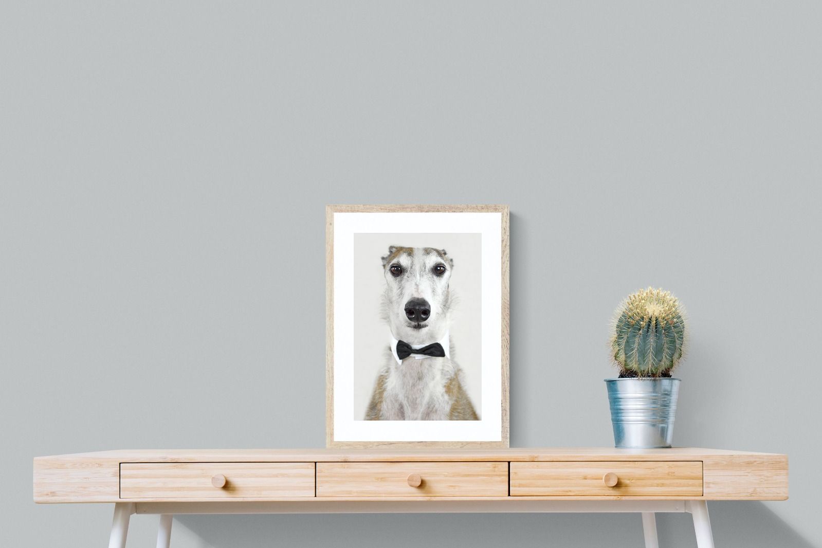 Pixalot Distinguished Hound
