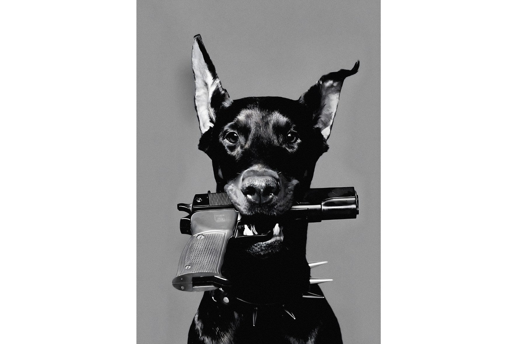 Doberman