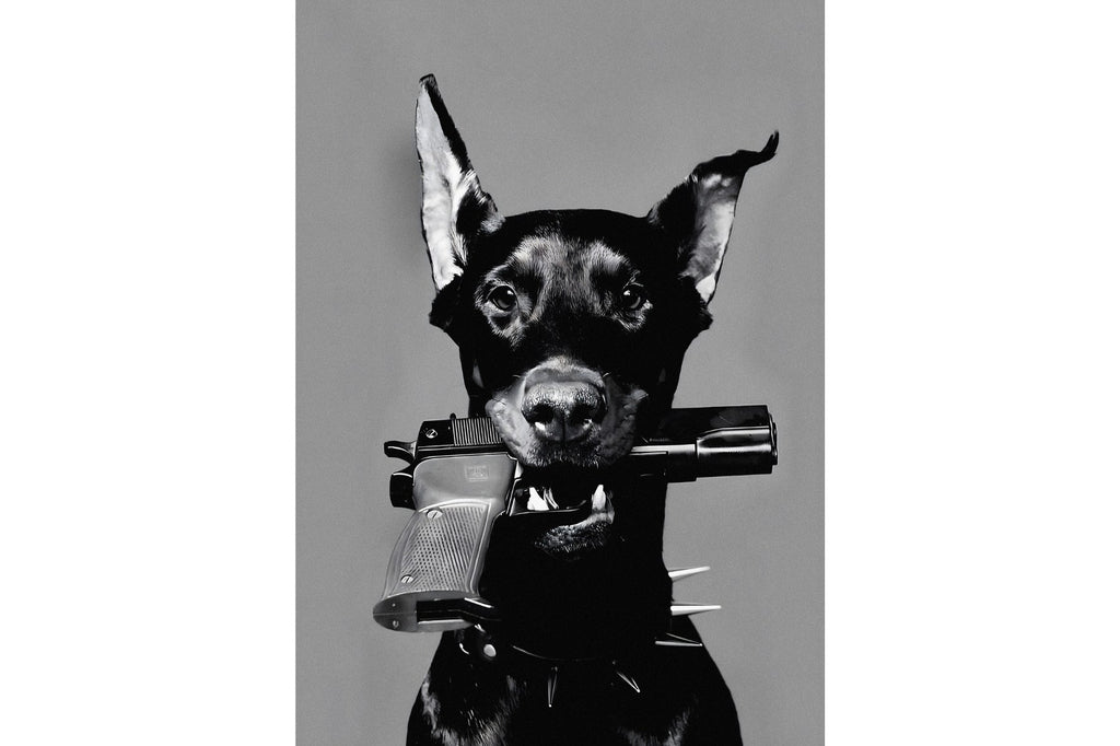Doberman