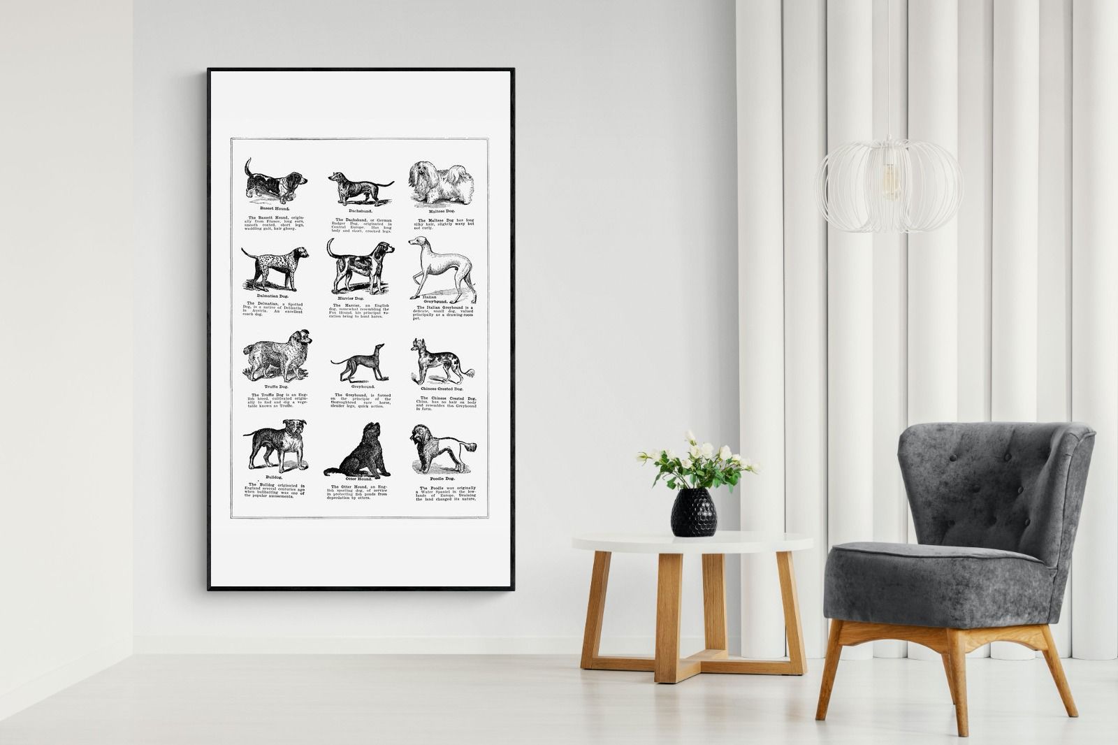 Pixalot Dog Breeds