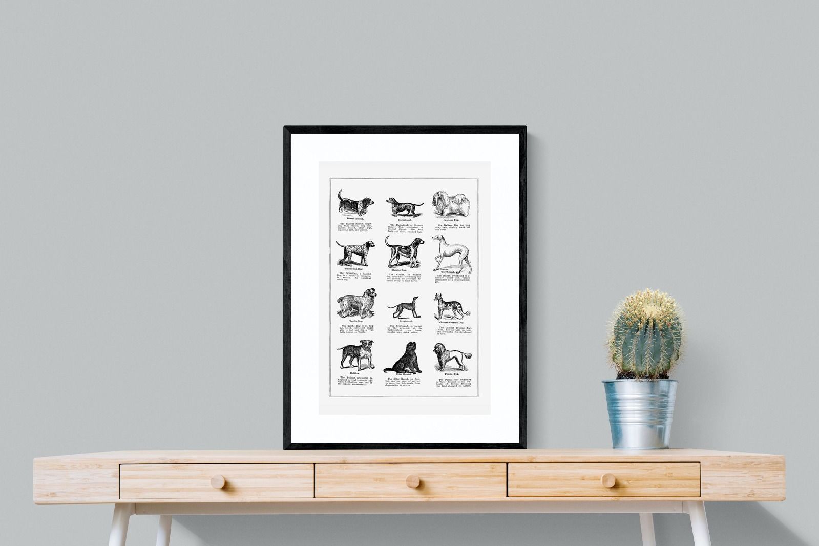 Pixalot Dog Breeds