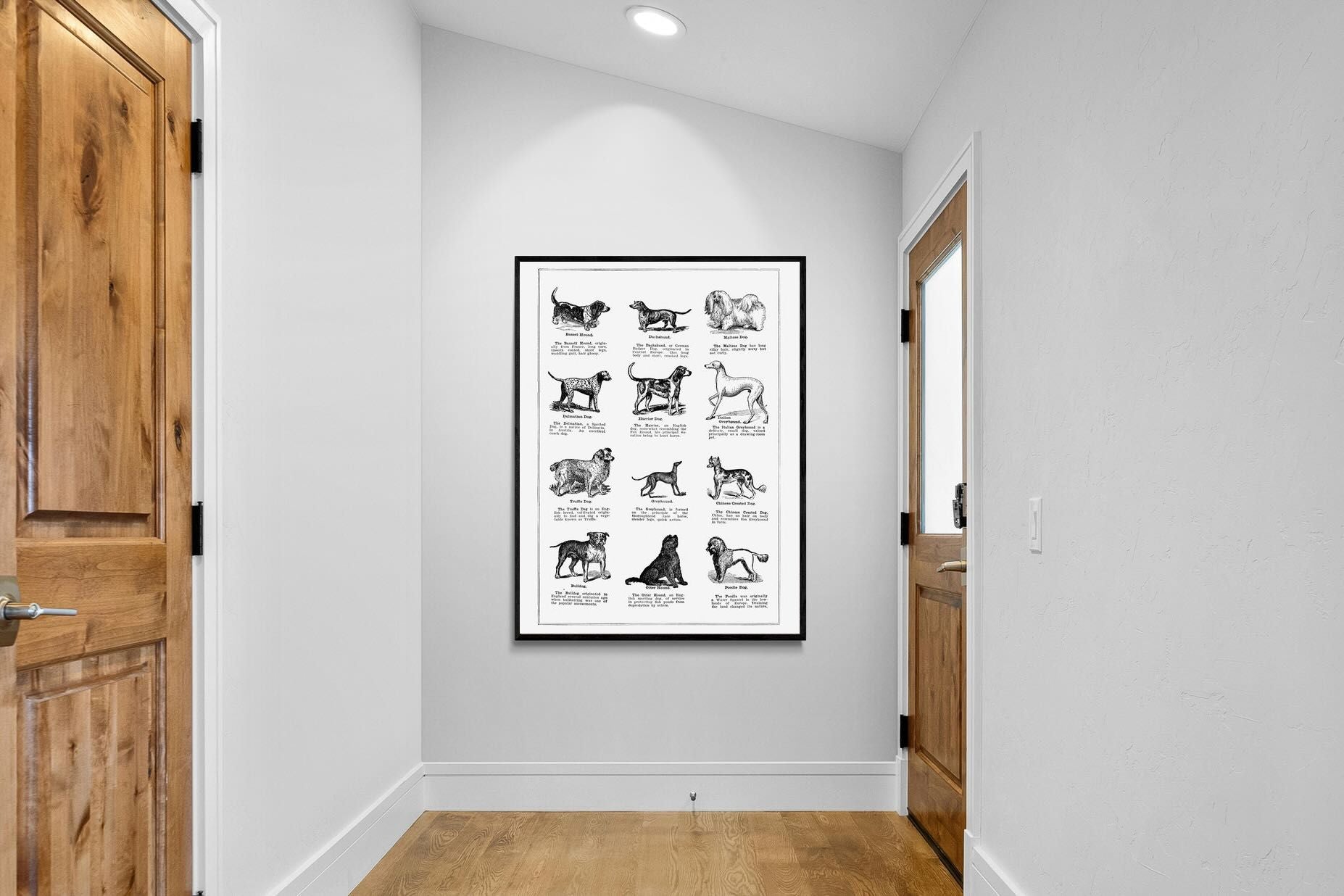 Pixalot Dog Breeds