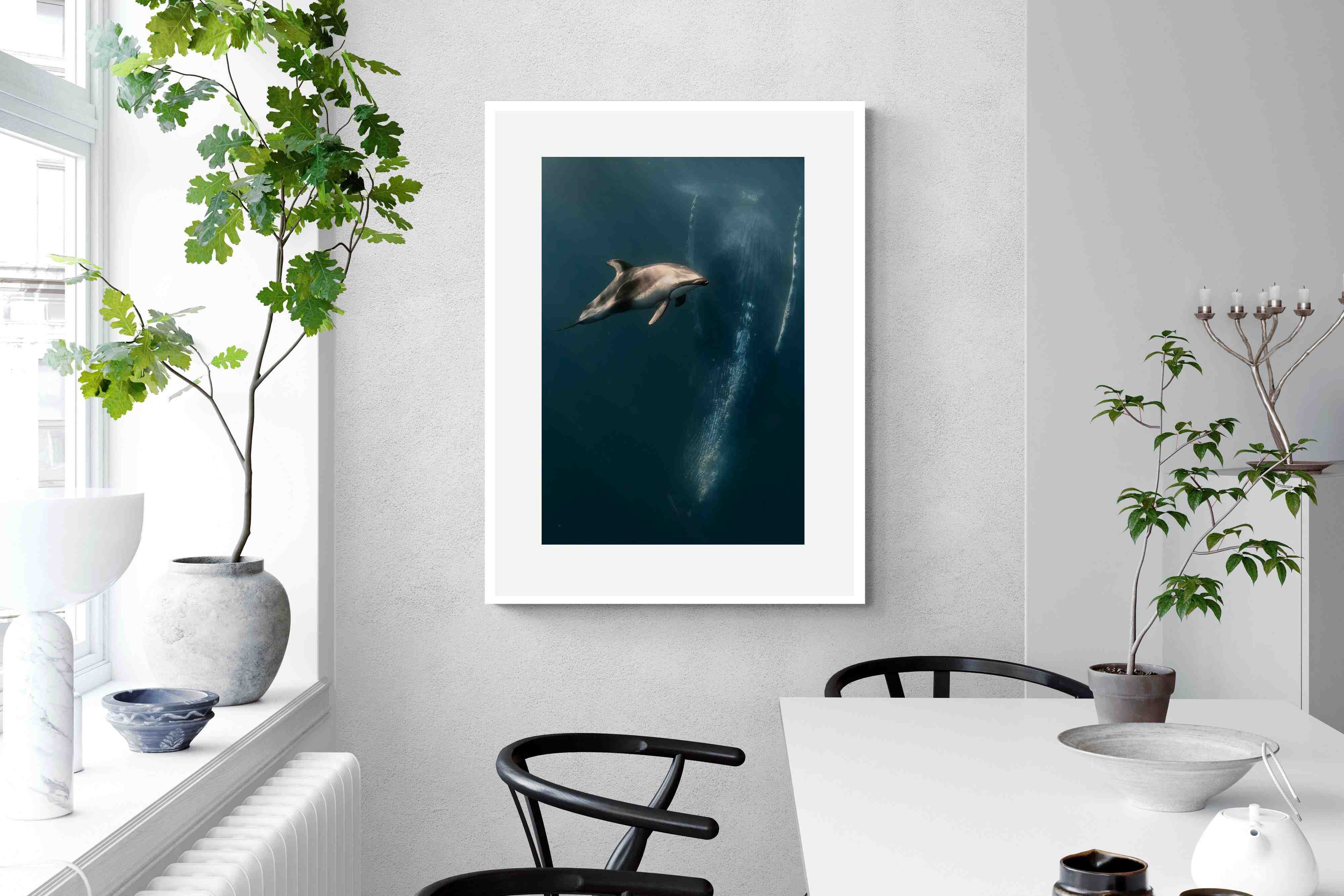 Pixalot Dolphin Meets Whale