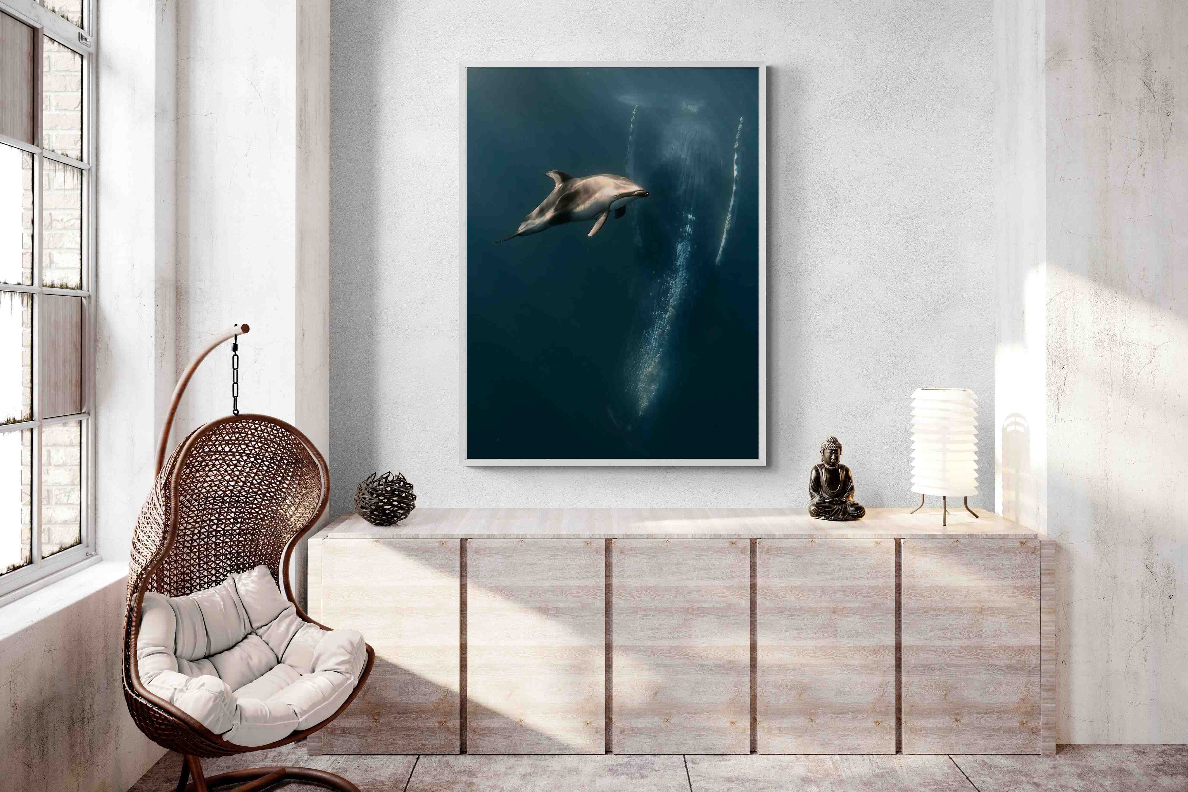 Pixalot Dolphin Meets Whale