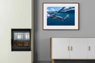 Pixalot ® Dolphin Trio