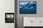 Pixalot ® Dolphin Trio