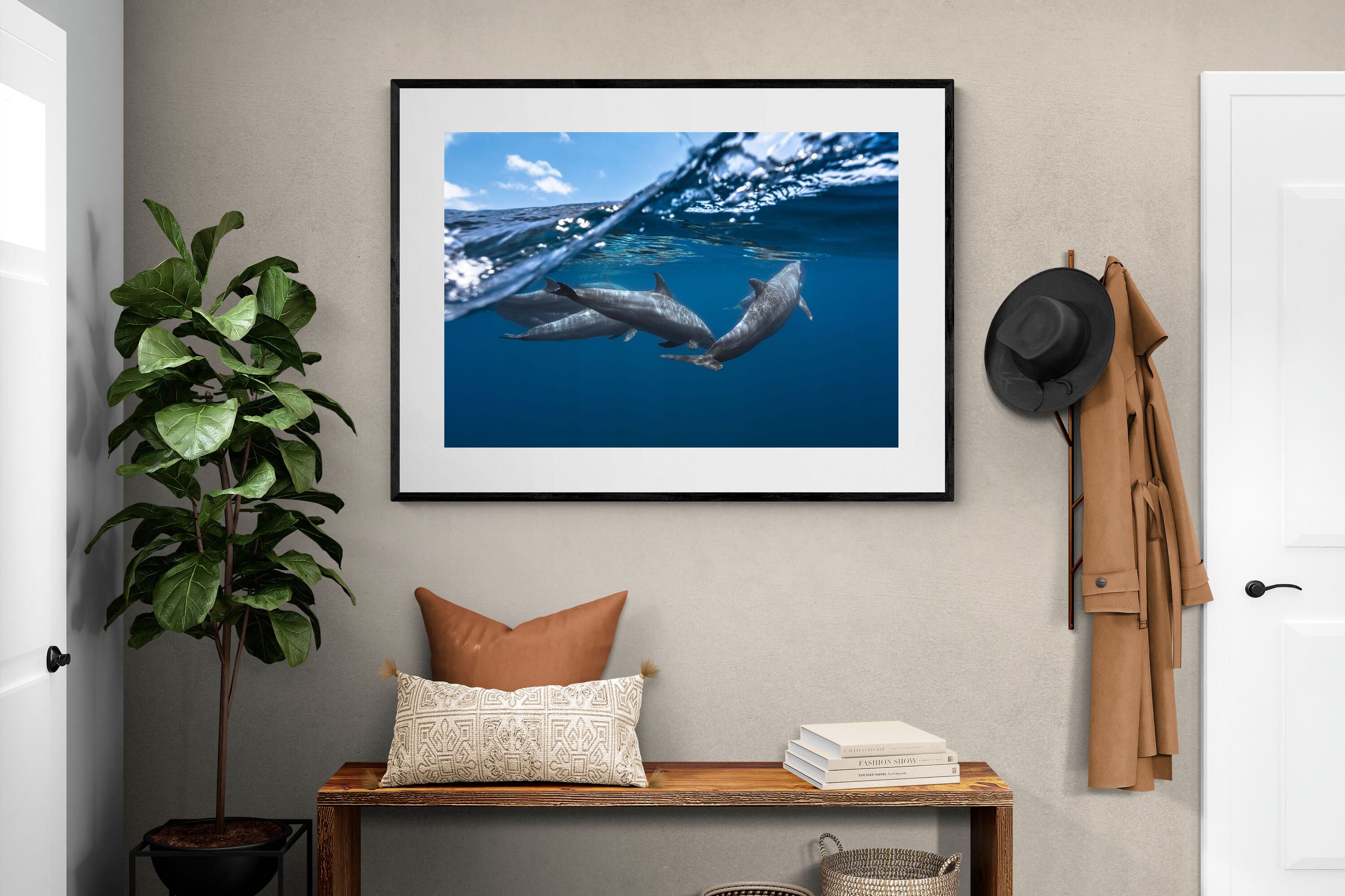 Pixalot Dolphin Trio