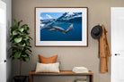 Pixalot ® Dolphin Trio