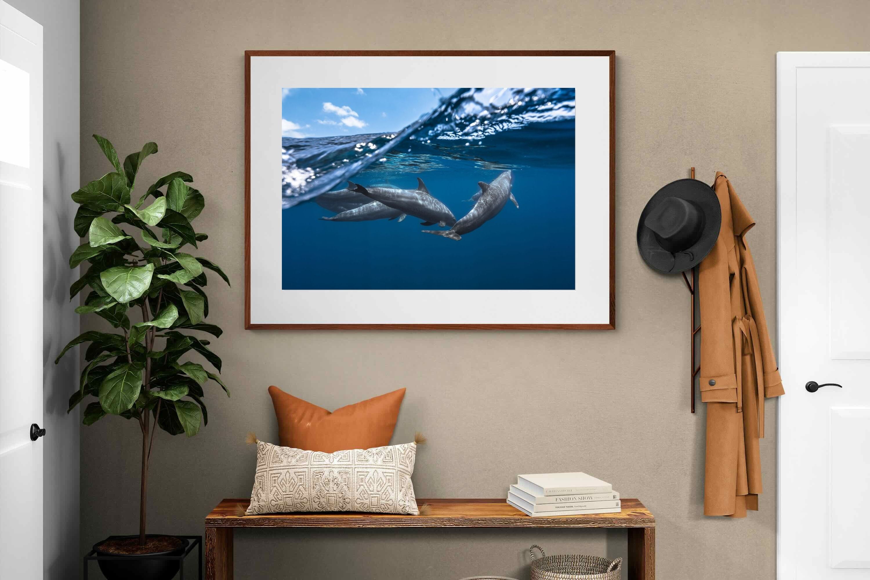 Pixalot ® Dolphin Trio