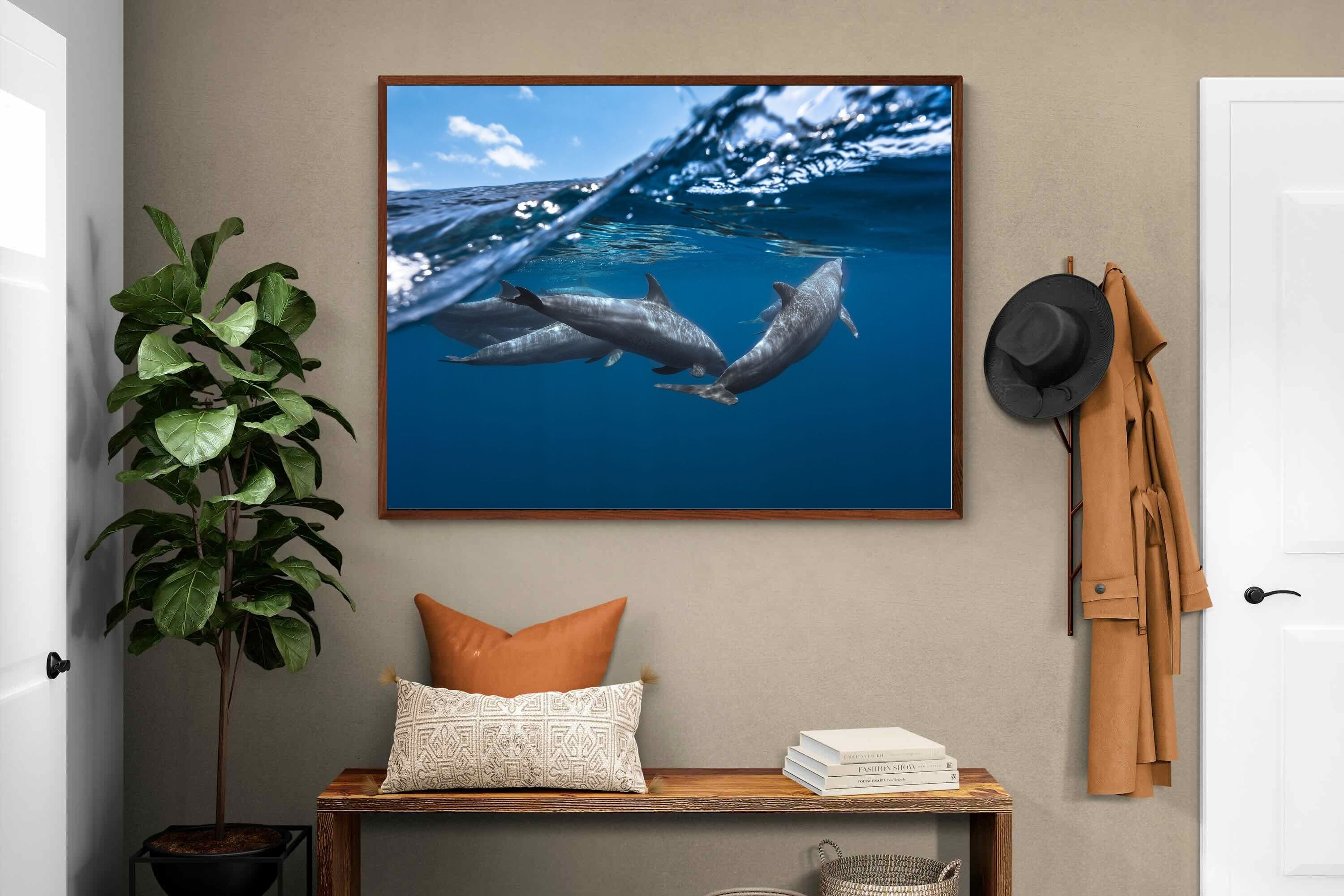 Pixalot ® Dolphin Trio