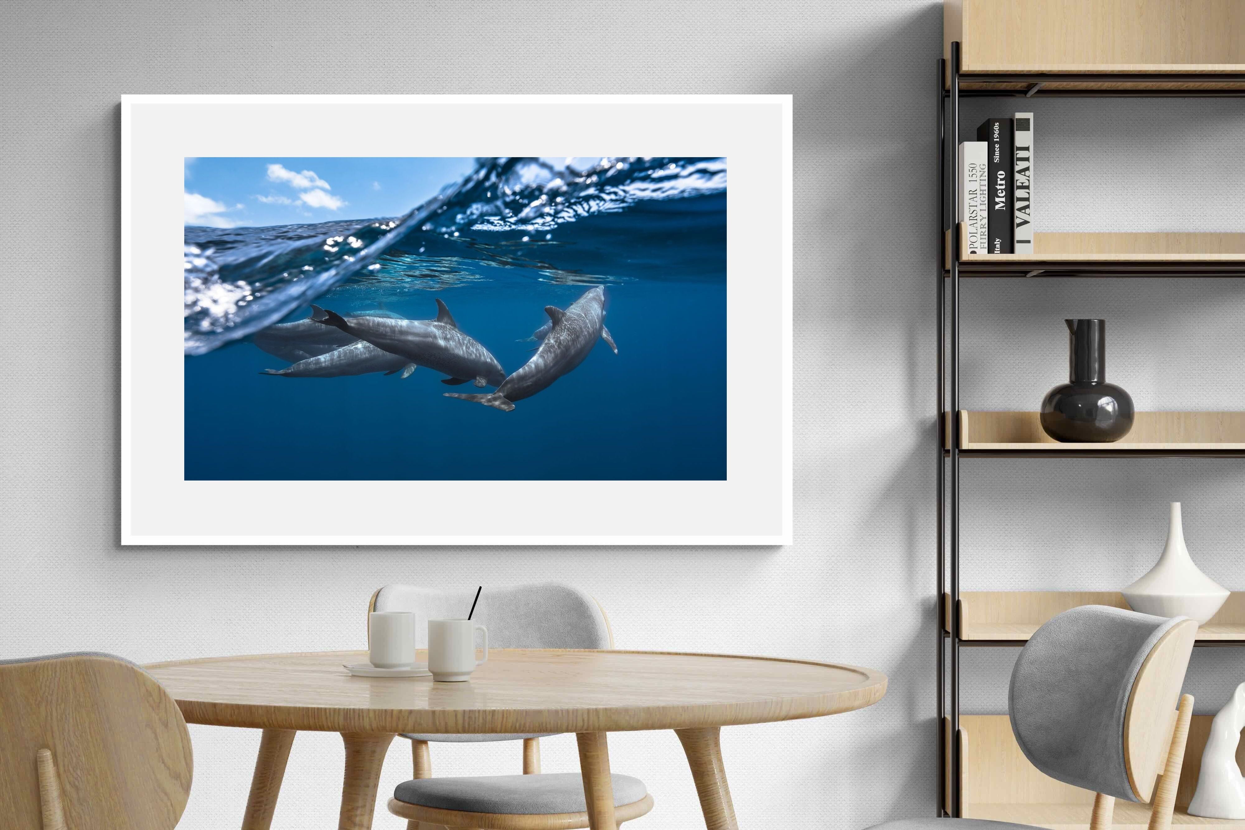 Pixalot Dolphin Trio