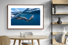 Pixalot ® Dolphin Trio