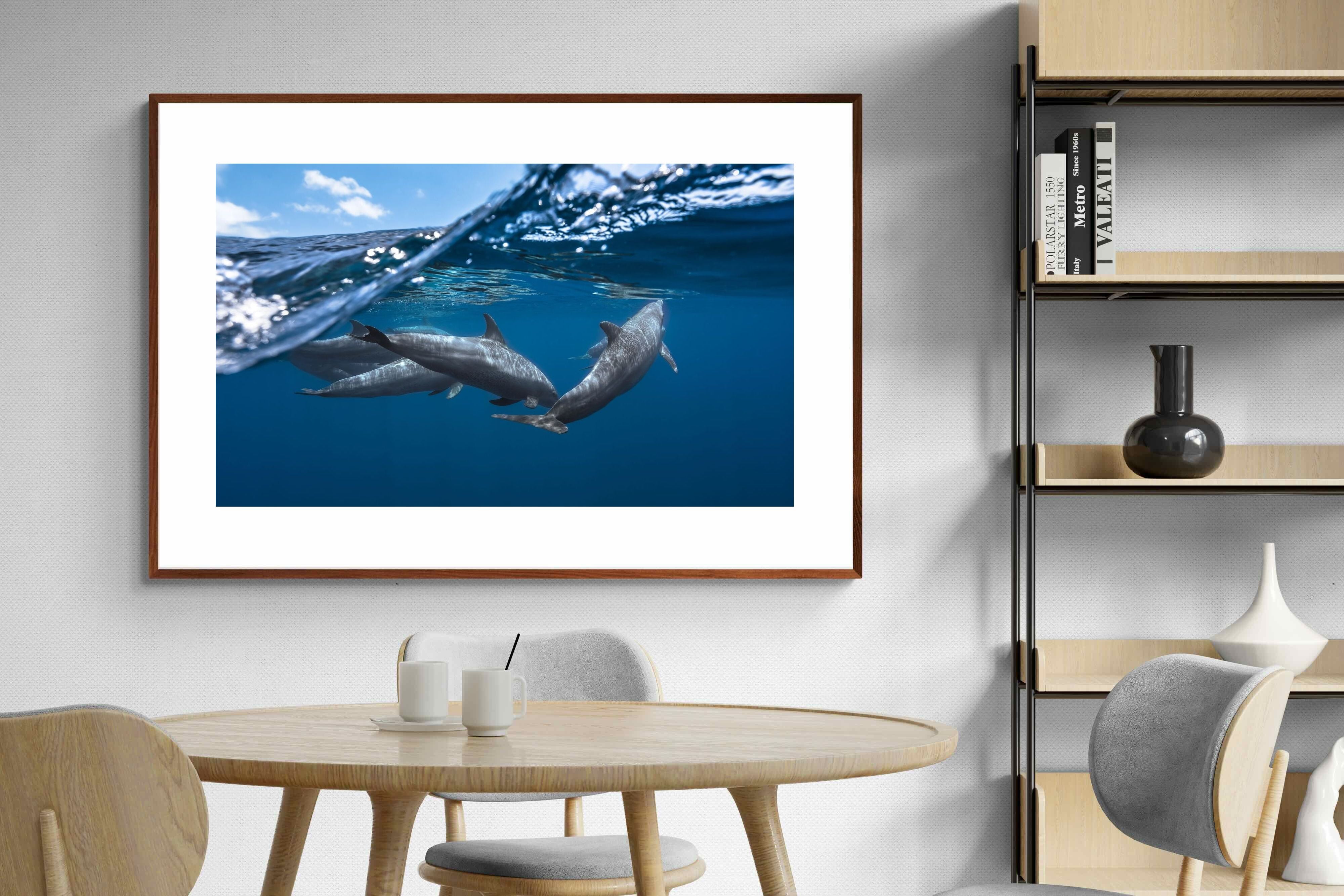 Pixalot ® Dolphin Trio