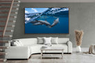 Pixalot ® Dolphin Trio