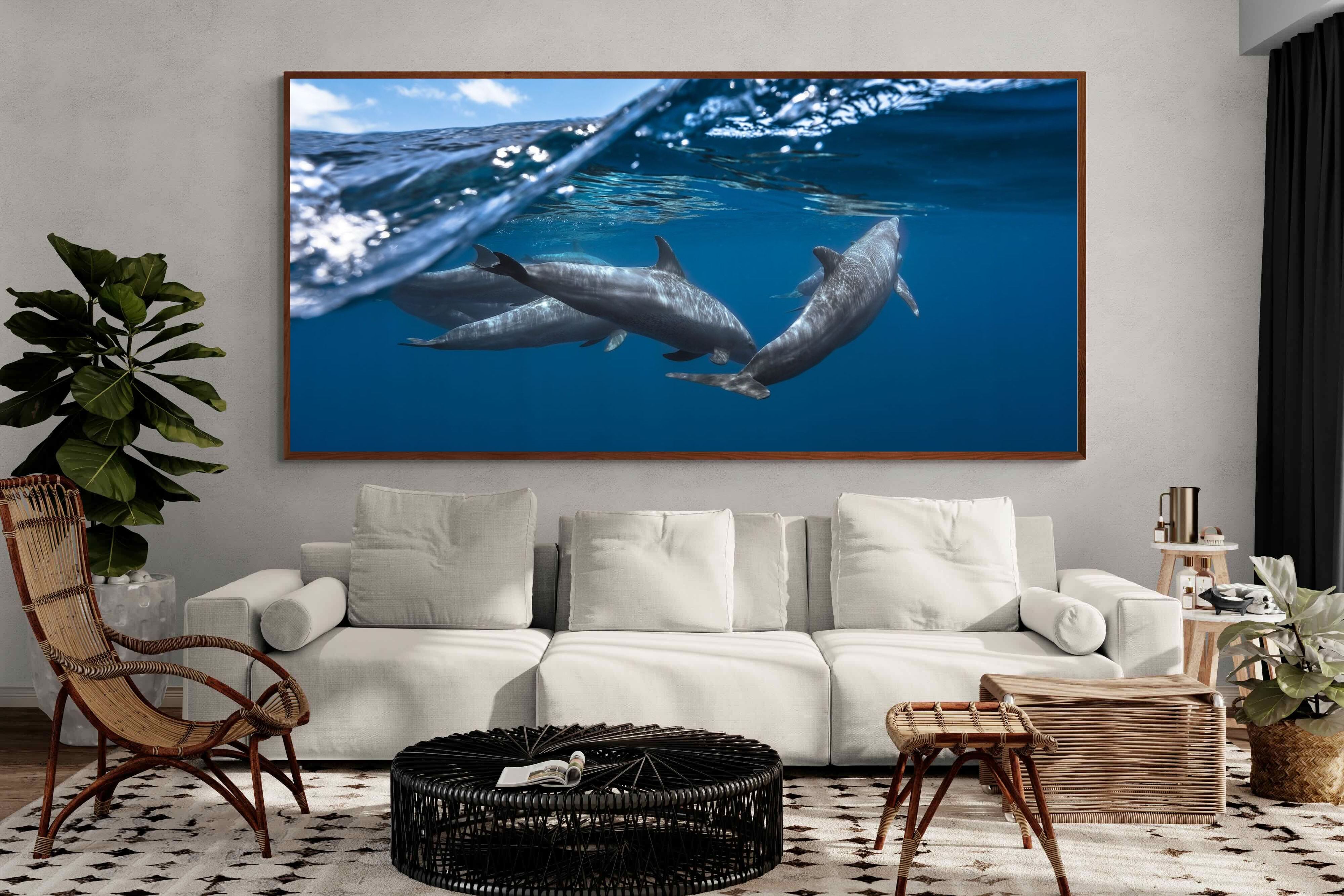 Pixalot ® Dolphin Trio